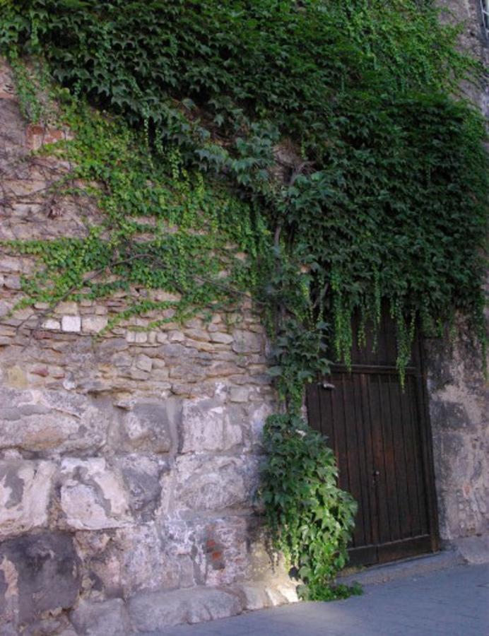 Aufhauser Hof 雷根斯堡 外观 照片